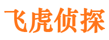 芒康市侦探调查公司